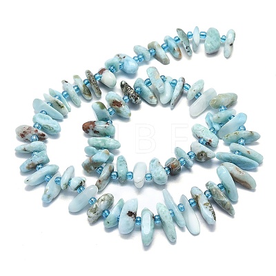 Natural Larimar Beads Strands G-G106-J04-01-1