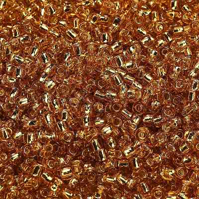 TOHO 6/0 Round Beads SEED-XTR06-0022B-1
