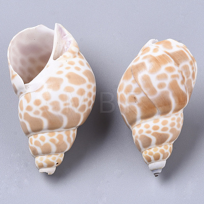 Natural Spiral Shell Beads SSHEL-N035-01-1