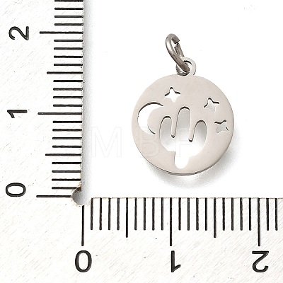 304 Stainless Steel Charms STAS-Z119-07P-1