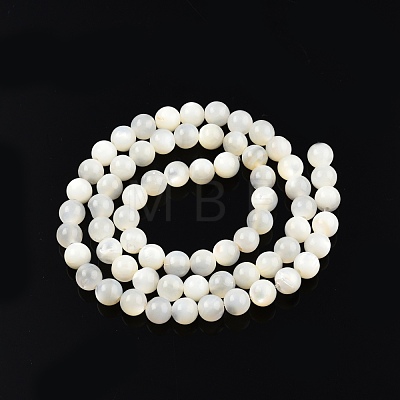 Natural White Shell Bead Strands SSHEL-N003-144E-01-1