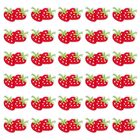30Pcs Strawberry Computerized Embroidery Cloth Iron on/Sew on Patches PATC-FG0003-73B-1