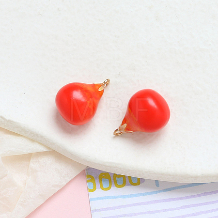 Opaque Resin Pendants INS-PW0001-08E-01-1
