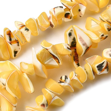 Natural Trochid Shell/Trochus Shell Beads Strands SHEL-B003-02H-1