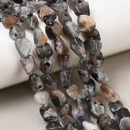 Natural Moonstone Beads Strands G-A284-A01-01-1