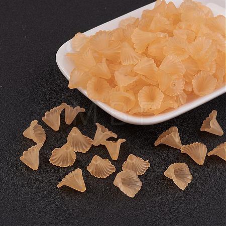 Transparent Acrylic Beads PL622-C06-1
