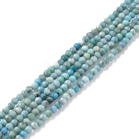 Natural Blue Opal Beads Strands LS-G-K315-B05-A-1