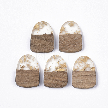 Transparent Resin & Walnut Wood Pendants RESI-Q210-005A-A01-1