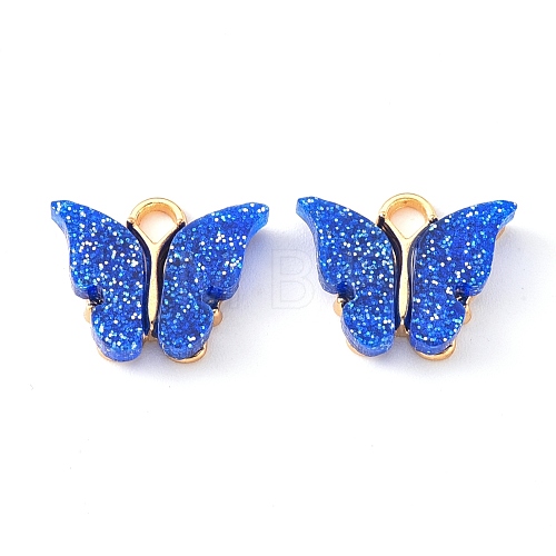 Alloy Enamel Pendants with Glitter Powder and Zinc Alloy Hanging Plating ENAM-R056-01F-1