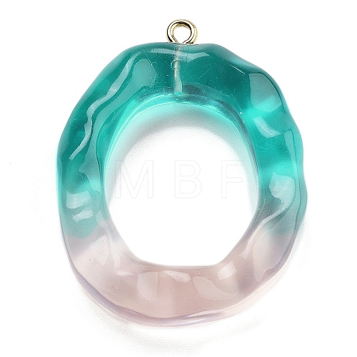 Resin Pendant FIND-Q107-01O-01-1