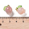 Natural Agate Fruit Charms with Leaf G-Z052-03A-3