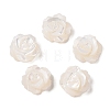 Natural White Shell Beads SSHEL-C012-06-1