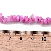 Natural Freshwater Shell Beads SHEL-B003-01F-4