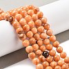 Natural Persian Jade Beads Strands G-A255-A02-02J-4