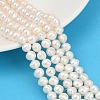 Natural Cultured Freshwater Pearl Beads Strands PEAR-I007-07Y-01A-1