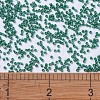 MIYUKI Delica Beads SEED-J020-DB0656-4