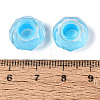 Resin European Beads RESI-Q236-01A-05-3
