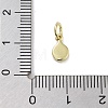 Rack Plating Brass Enamel Charms KK-M293-40G-02-3