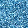 12/0 Glass Seed Beads SEED-A016-2mm-211-3