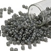 TOHO 6/0 Round Beads SEED-TR06-1150-1
