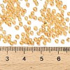 Transparent Colours Glass Seed Beads SEED-H004-01G-3