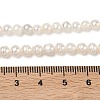 Natural Cultured Freshwater Pearl Beads Strands PEAR-L034-09C-5