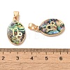 Constellation Natural Paua Shell Pendants KK-P265-01G-08-3