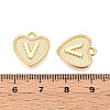 Alloy Pendants PALLOY-N157-001V-NR-3