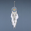 Iron Bohemian Woven Web/Net with Feather Macrame Wall Hanging Decorations PW-WG41914-01-1