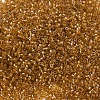 MIYUKI Delica Beads SEED-MY11-DB0065-3
