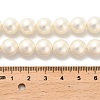 Shell Pearl Beads Strands BSHE-XCP0001-33-4