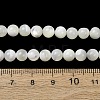 Natural Trochid Shell/Trochus Shell Beads Strands SH-CBA2978-16B-4