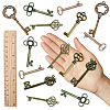 Skeleton Key Charm DIY Jewelry Making Kit for Crafts Gifts DIY-SC0017-38-3