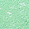 Baking Paint Glass Seed Beads SEED-H002-I-A524-3