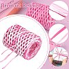 1 Roll Segment Dyed Raffia Paper Cords for DIY Craft OCOR-CJ0004-12-3