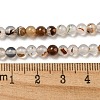 Natural Dendritic Agate Beads Strands G-A232-A01-01-5