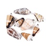 Brass & Natural Cone Shell Pendants SHEL-Q029-20-02P-1