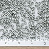 MIYUKI Round Rocailles Beads SEED-X0054-RR0194-4
