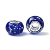 Glow In The Dark Handmade Luminous Style Lampwork Large Hole European Beads LPDL-R007-02B-2