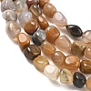 Natural Petrified Wood Beads Strands GG-CBA9392-31-4