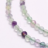 Natural Fluorite Beads Strands G-F509-38-3mm-4