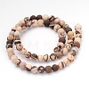 Frosted Round Natural Zebra Jasper Beads G-J338-01-6mm-2