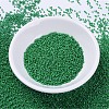MIYUKI Delica Beads X-SEED-J020-DB0655-2