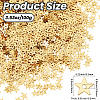 100G PET Paillette/Sequins Pendants KY-CY0001-24A-2