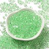 Glass Seed Beads SEED-K009-08A-11-2