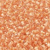 Transparent Glass Round Seed Beads X1-SEED-B001-05A-31-3