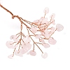 Natural Rose Quartz Chips Tree Decorations DJEW-S001-01A-2