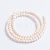 Natural Pink Shell Beads Strands LS-SSHEL-L016-18C-3