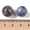 Natural Blue Spot Jasper No Hole Sphere Beads G-K353-04C-14-3