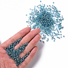 3000Pcs Glass Seed Beads SEED-PA0001-29B-03-3